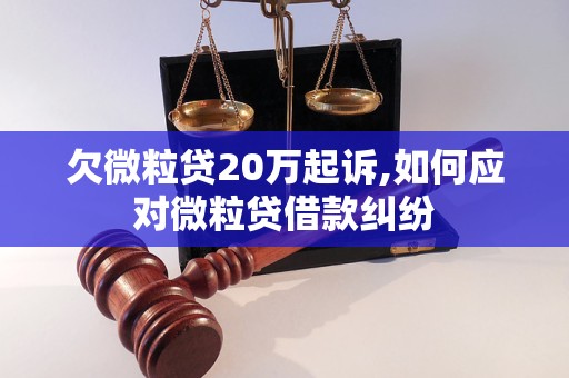 欠微粒贷20万起诉,如何应对微粒贷借款纠纷