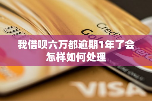 我借呗六万都逾期1年了会怎样如何处理