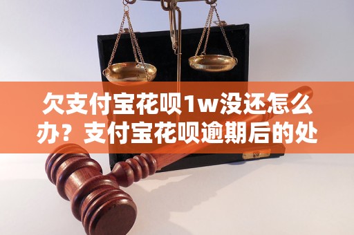 欠支付宝花呗1w没还怎么办？支付宝花呗逾期后的处理方法