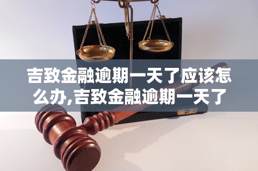 吉致金融逾期一天了应该怎么办,吉致金融逾期一天了会有什么后果