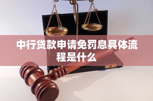 中行贷款申请免罚息具体流程是什么