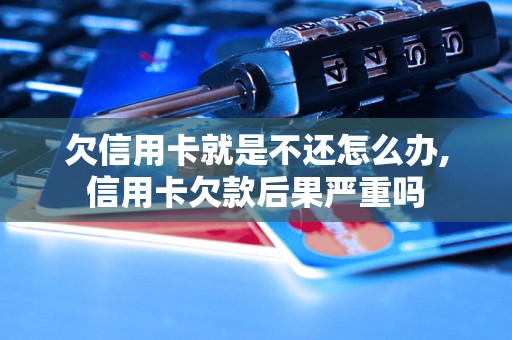 欠信用卡就是不还怎么办,信用卡欠款后果严重吗