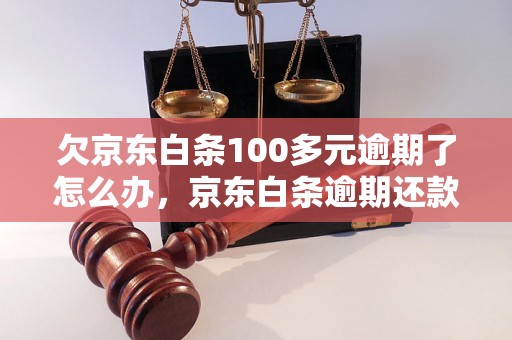 欠京东白条100多元逾期了怎么办，京东白条逾期还款流程解析