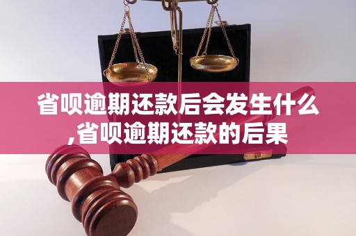 省呗逾期还款后会发生什么,省呗逾期还款的后果