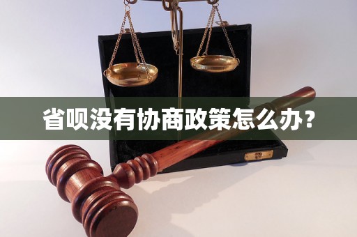 省呗没有协商政策怎么办？