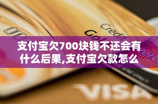 支付宝欠700块钱不还会有什么后果,支付宝欠款怎么办理立案程序