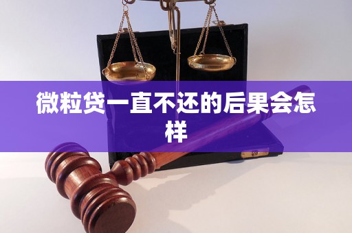 微粒贷一直不还的后果会怎样