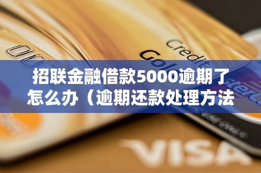 招联金融借款5000逾期了怎么办（逾期还款处理方法详解）