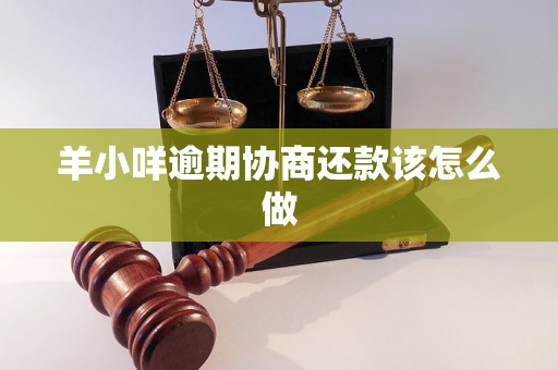 羊小咩逾期协商还款该怎么做