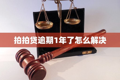 拍拍贷逾期1年了怎么解决