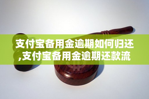 支付宝备用金逾期如何归还,支付宝备用金逾期还款流程