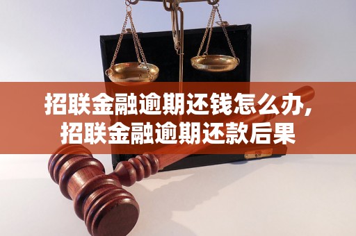 招联金融逾期还钱怎么办,招联金融逾期还款后果