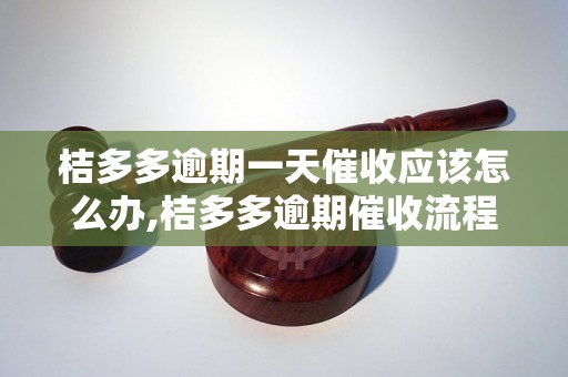 桔多多逾期一天催收应该怎么办,桔多多逾期催收流程解析