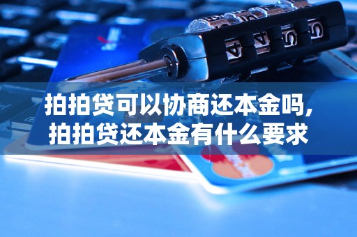 拍拍贷可以协商还本金吗,拍拍贷还本金有什么要求