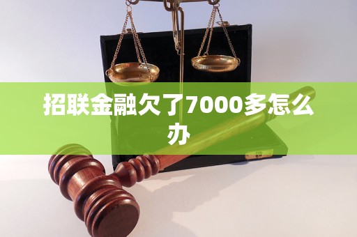 招联金融欠了7000多怎么办