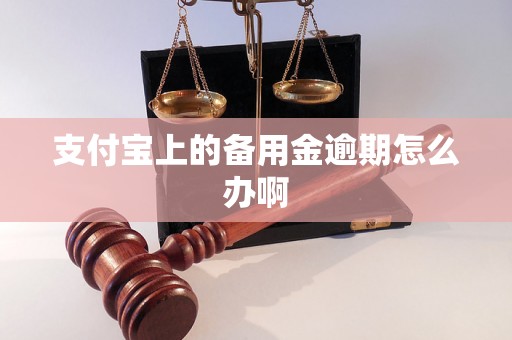 支付宝上的备用金逾期怎么办啊