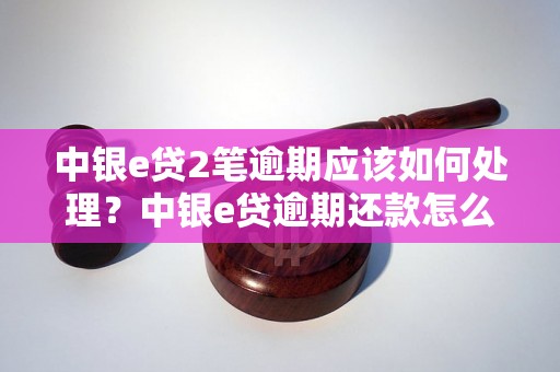 中银e贷2笔逾期应该如何处理？中银e贷逾期还款怎么办？