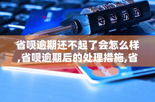 省呗逾期还不起了会怎么样,省呗逾期后的处理措施,省呗逾期会影响信用吗