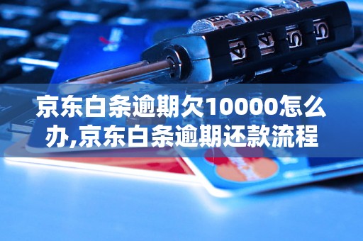 京东白条逾期欠10000怎么办,京东白条逾期还款流程解析