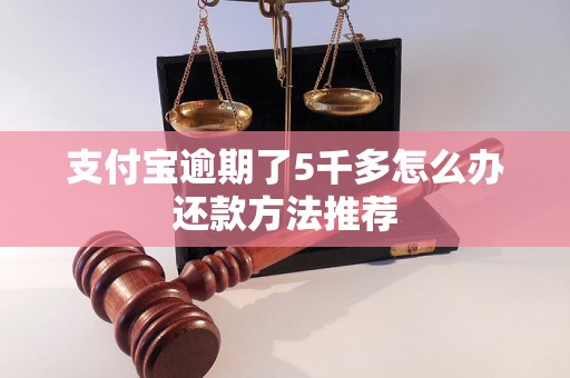 支付宝逾期了5千多怎么办还款方法推荐