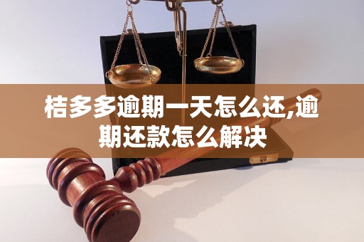 桔多多逾期一天怎么还,逾期还款怎么解决