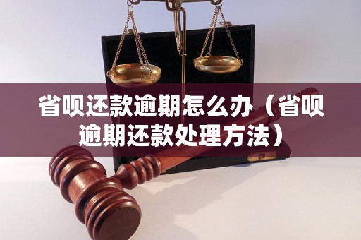 省呗还款逾期怎么办（省呗逾期还款处理方法）