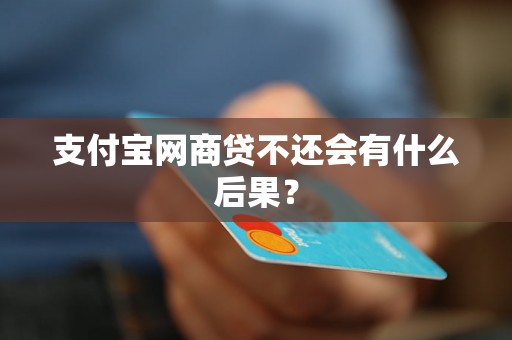 支付宝网商贷不还会有什么后果？