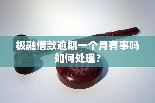 极融借款逾期一个月有事吗如何处理？