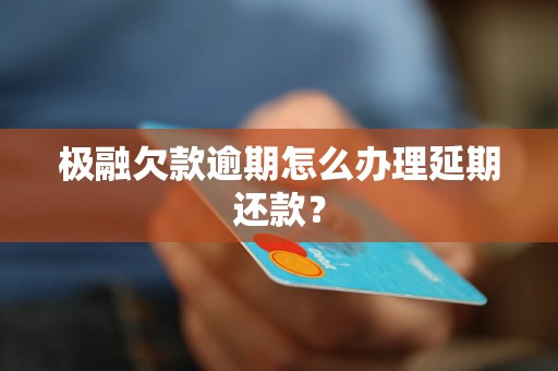 极融欠款逾期怎么办理延期还款？