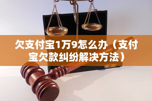 欠支付宝1万9怎么办（支付宝欠款纠纷解决方法）