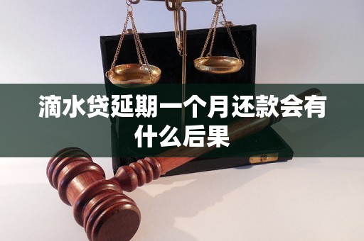 滴水贷延期一个月还款会有什么后果