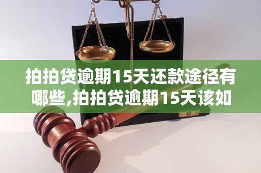 拍拍贷逾期15天还款途径有哪些,拍拍贷逾期15天该如何处理