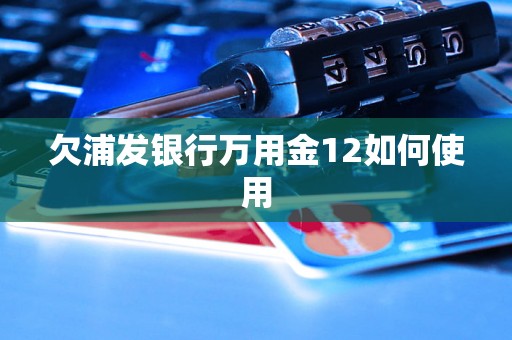 欠浦发银行万用金12如何使用