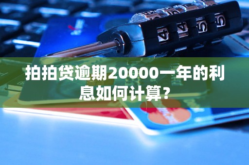 拍拍贷逾期20000一年的利息如何计算？