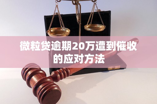 微粒贷逾期20万遭到催收的应对方法