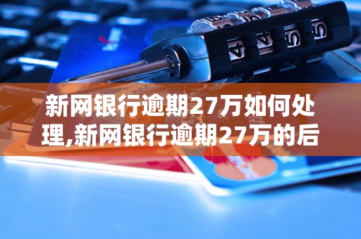 新网银行逾期27万如何处理,新网银行逾期27万的后果