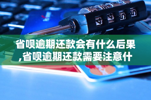 省呗逾期还款会有什么后果,省呗逾期还款需要注意什么