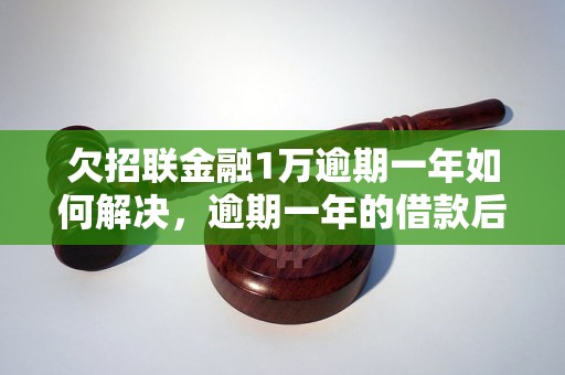 欠招联金融1万逾期一年如何解决，逾期一年的借款后果如何