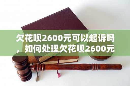 欠花呗2600元可以起诉吗，如何处理欠花呗2600元的问题