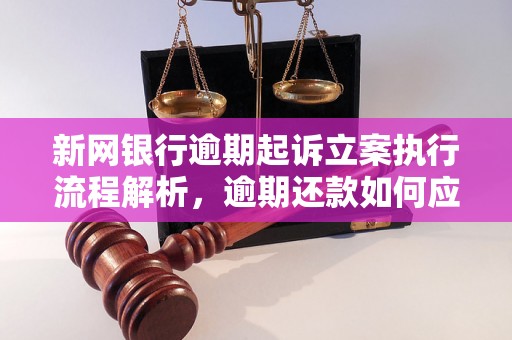 新网银行逾期起诉立案执行流程解析，逾期还款如何应对