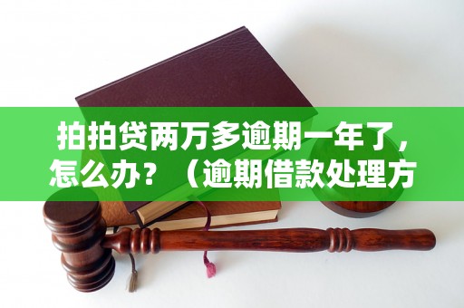 拍拍贷两万多逾期一年了，怎么办？（逾期借款处理方法详解）