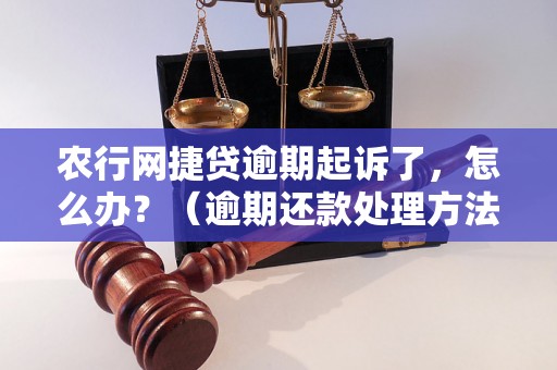 农行网捷贷逾期起诉了，怎么办？（逾期还款处理方法）