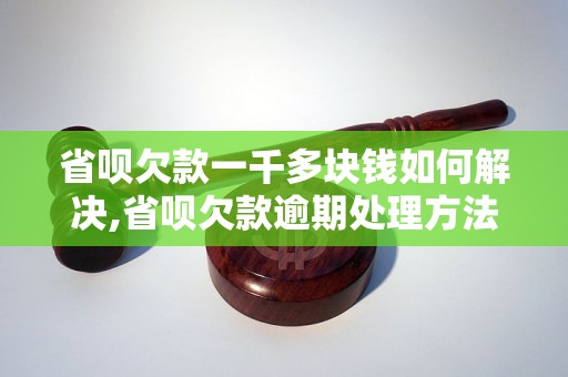 省呗欠款一千多块钱如何解决,省呗欠款逾期处理方法