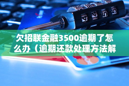 欠招联金融3500逾期了怎么办（逾期还款处理方法解析）