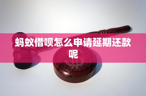 蚂蚁借呗怎么申请延期还款呢