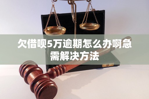 欠借呗5万逾期怎么办啊急需解决方法