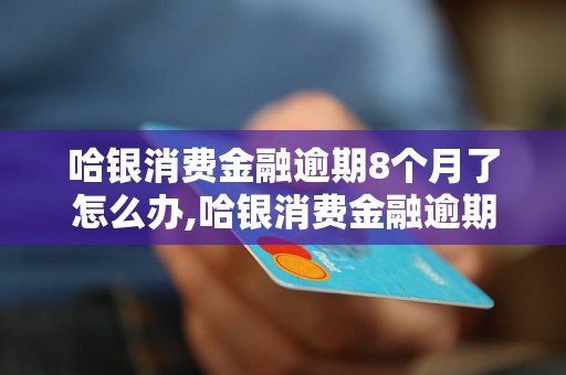 哈银消费金融逾期8个月了怎么办,哈银消费金融逾期处理流程详解