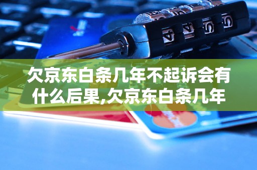 欠京东白条几年不起诉会有什么后果,欠京东白条几年被起诉的案例分析