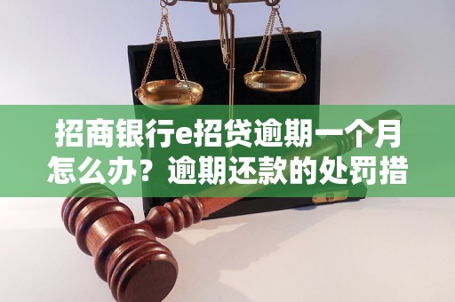 招商银行e招贷逾期一个月怎么办？逾期还款的处罚措施有哪些？