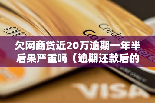 欠网商贷近20万逾期一年半后果严重吗（逾期还款后的法律后果）